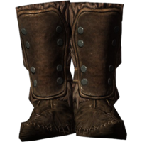 SR-icon-armor-FurBoots.png