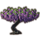 ON-icon-furnishing-Tree, Purple Wisteria.png