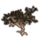 ON-icon-furnishing-Tree, Sea Grapes.png