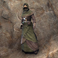 ON-costume-Priest of the Green (female).jpg
