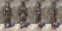 ON-item-armor-Elder Argonian Medium Female.jpg