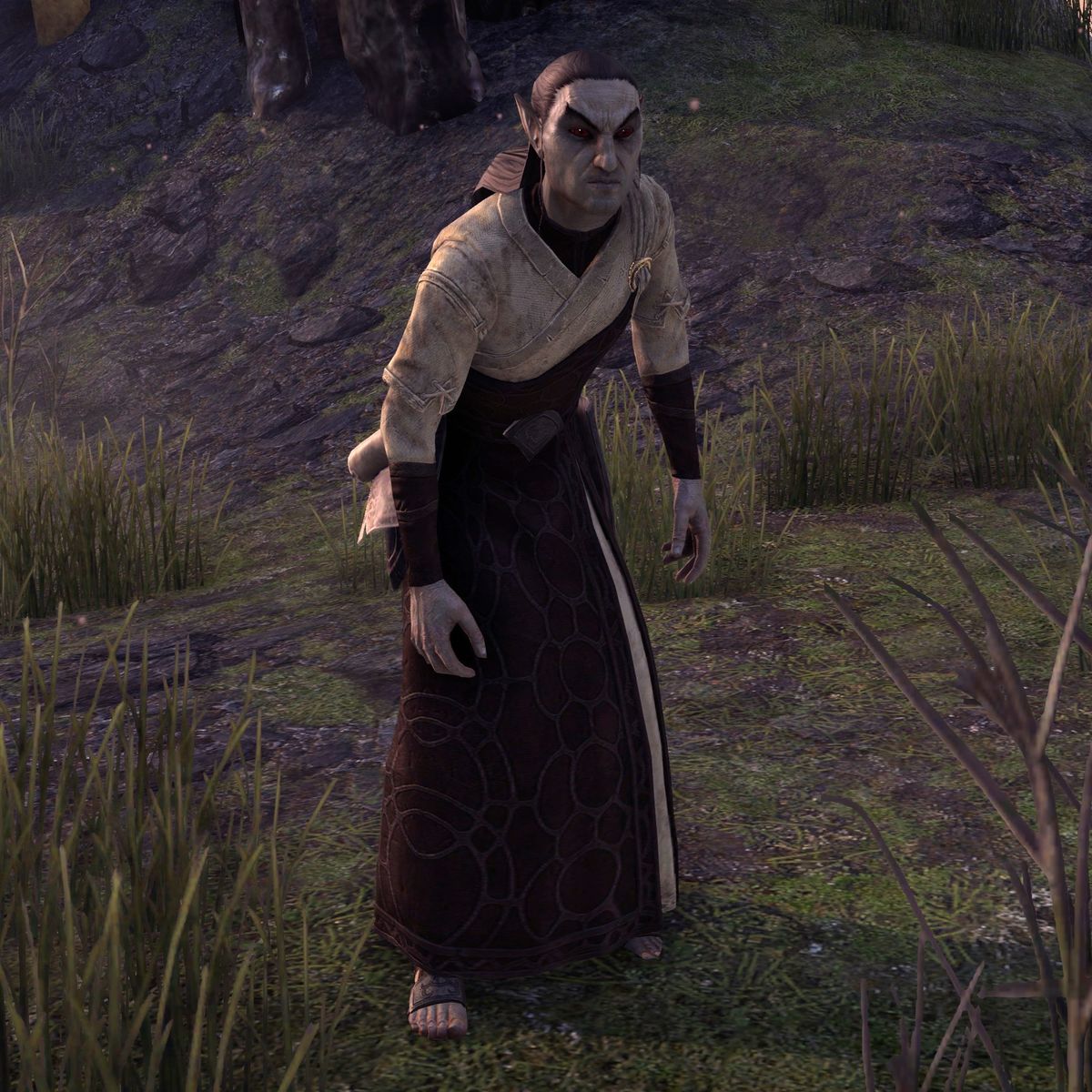 Online:Researcher Fendar - The Unofficial Elder Scrolls Pages (UESP)