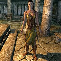 Skyrim Npc Clothes Changer