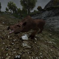 TD3-creature-Wild Boar.jpg