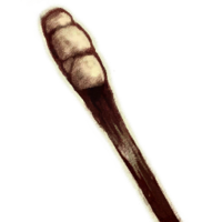 OBR-icon-misc-Torch.png