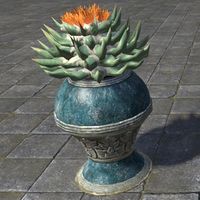 ON-furnishing-Elsweyr Potted Cactus, Flowering.jpg