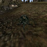 TD3-creature-Horned Beetle.jpg