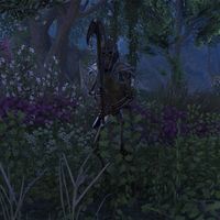 ON-npc-Returned Dead Warrior.jpg