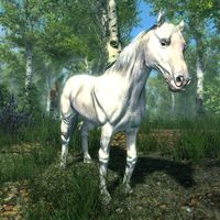 BS5C-creature-White Horse.jpg