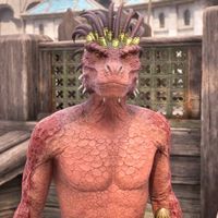 OBR-npc-DarkPirate05 02.jpg