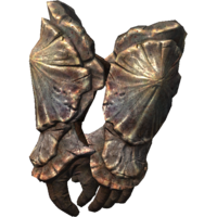 SR-icon-armor-Chitin Bracers.png