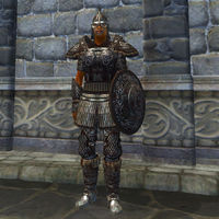 OB-item-female-Orcish Armor.jpg