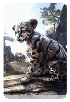 ON-card-Clouded Senche-Leopard Cub.png