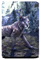 ON-card-Twilight Striped Lynx.png