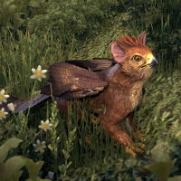 ON-creature-Fledgling Gryphon.jpg