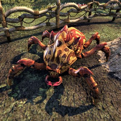 Online:Sickly Shalk - The Unofficial Elder Scrolls Pages (UESP)
