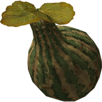 SR-icon-food-Wild Gourd.png