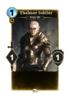 70px-LG-card-Thalmor_Soldier.png