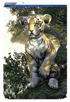 ON-card-Senche-Tiger Cub.png