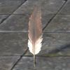 ON-furnishing-Common Quill, Feather.jpg