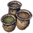 ON-icon-dye stamp-Sprouting Quarry and Frame.png