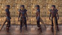 ON-item-armor-Argonian Heavy 2 Male.jpg