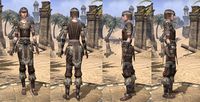 ON-item-armor-Cotton-Jerkin-Nord-Female.jpg