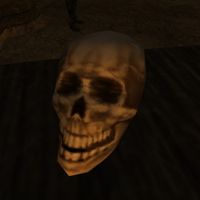 MW-misc-A Breton Skull.jpg
