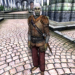 Lore Levitation Act The Unofficial Elder Scrolls Pages Uesp