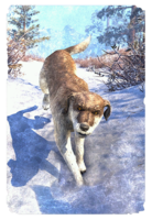 ON-card-Winterhold Wolfhound.png