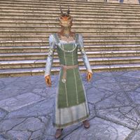 Bleakrock Housecarl Dress (male)