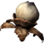 SR-icon-ingredient-Swamp Fungal Pod.png