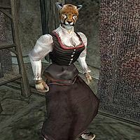 computer love — vounoura: NPCs in Morrowind before u bribe them