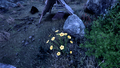 Thumbnail for version as of 15:17, 21 May 2025