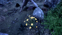 OBR-flora-Flax (Yellow).png