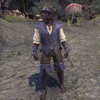 ON-costumes-Fashion Witch Ensemble (male).jpg