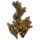 ON-icon-furnishing-Plant, Bitter Stalk.png