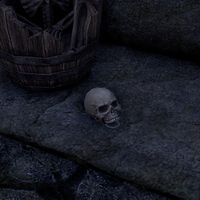 ON-item-Musius' Skull.jpg