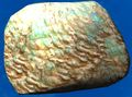 Thumbnail for version as of 01:35, 22 April 2025