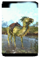 ON-card-Camel-Lizard Steed.png