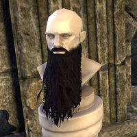 ON-facial hair-Long Patriarch Beard.jpg