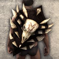 ON-item-armor-Reach Winter Shield.jpg