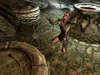 Skyrim Totems Of Hircine The Unofficial Elder Scrolls Pages Uesp