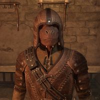 OBR-npc-Oleed-Ei 02.jpg