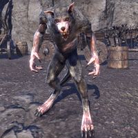 ON-creature-Gray Host Werewolf 02.jpg