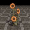 ON-furnishing-Flowers, Sunflower Cluster.jpg