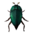 BS5C-icon-ingredient-Beetle.png