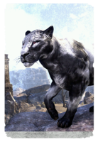ON-card-Shadowghost Senche-Panther.png