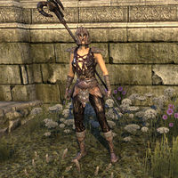 ON-item-armor-Draugr Style light armor (female).jpg