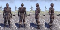 ON-item-armor-Nord Light Jerkin 3 Male.jpg
